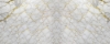 Brass Vein Carrara Marble Splashback