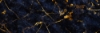 Golden Vein Navy